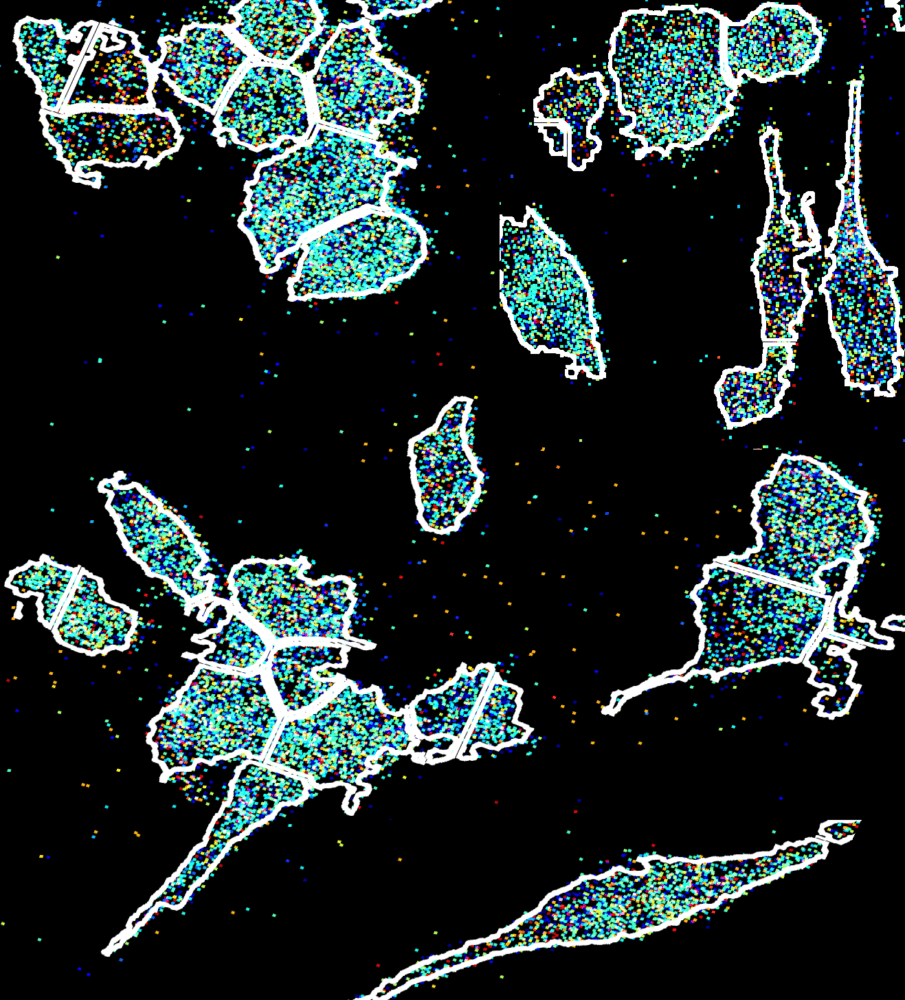 Banner image of Binan lab